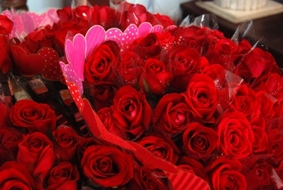 Flores