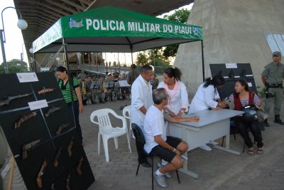 Ponte Estaiada