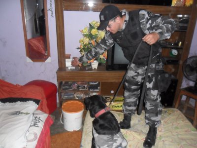 Operao frias em paz 2011 3