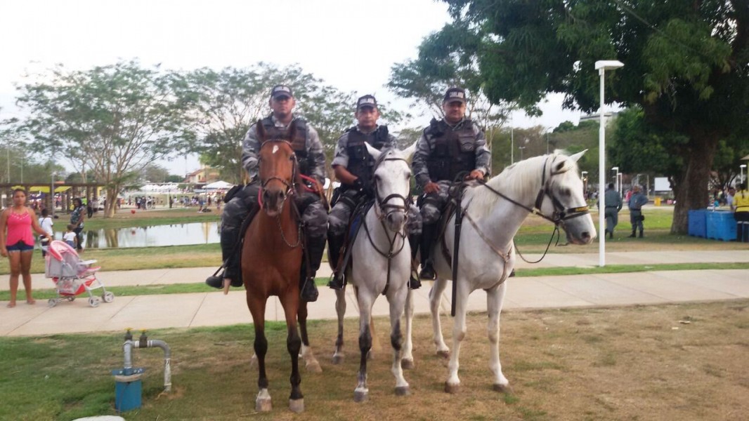 cavalaria
