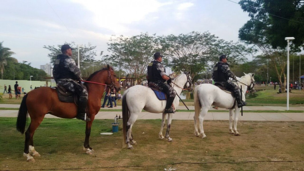 cavalaria