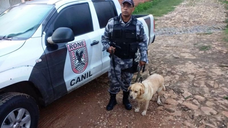 canil