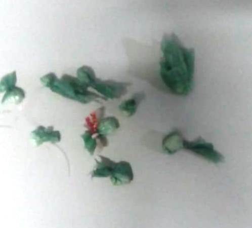 Foto_05022019_020256