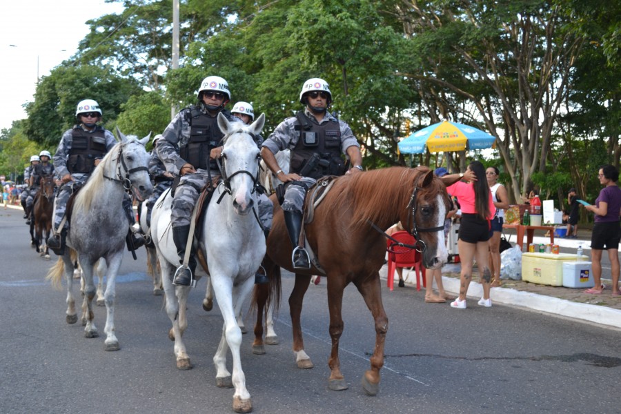 corso 2019
