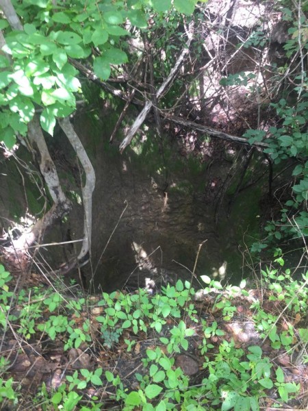 Foto_01032019_090311