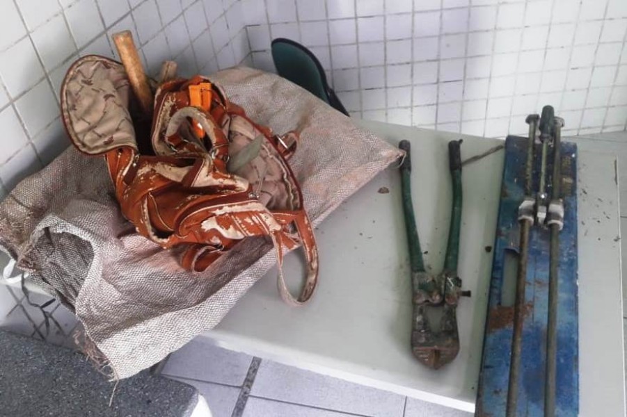 Foto_07032019_090303