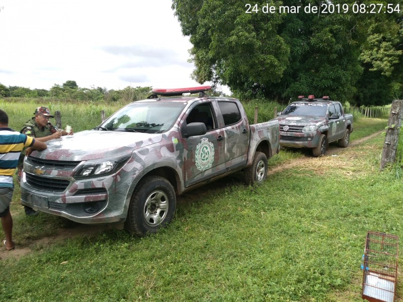 Foto_25032019_100356