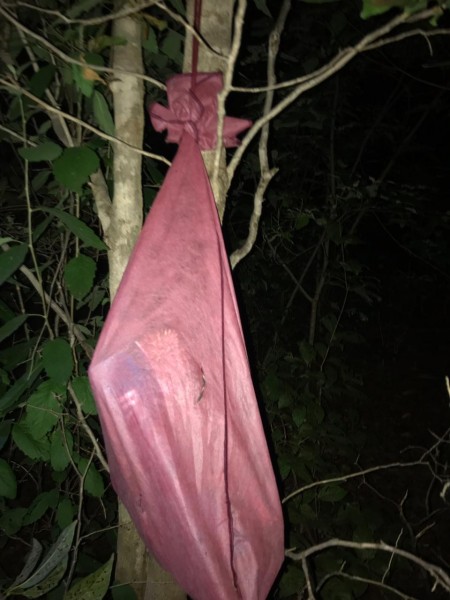 Foto_10052019_080506