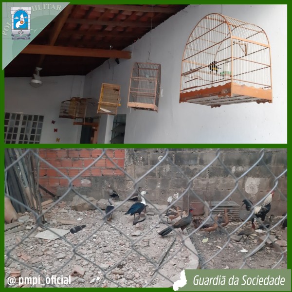 Foto_01102019_091045