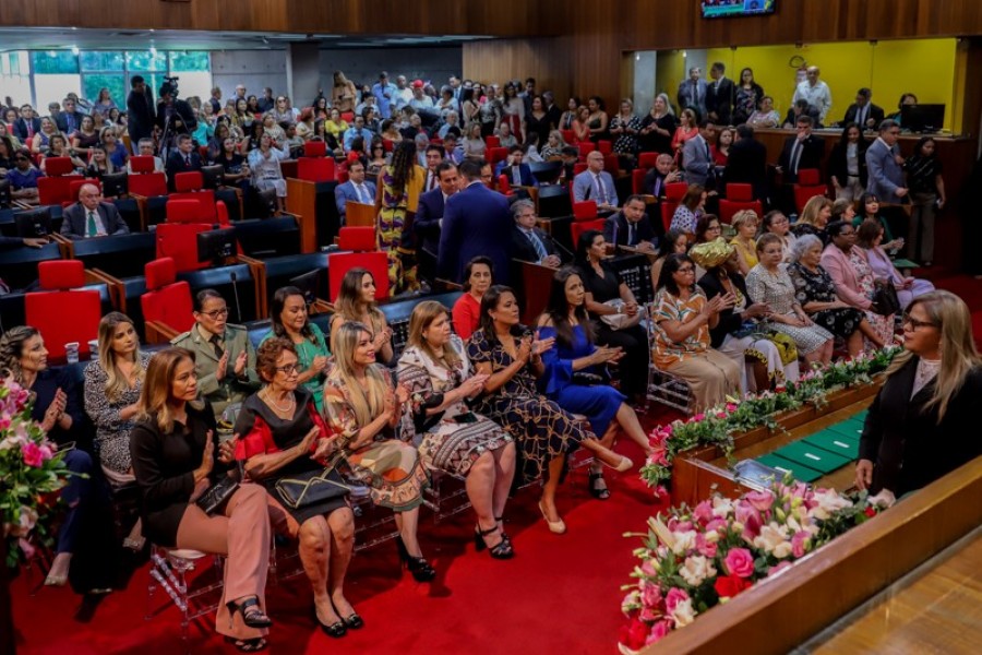 Prmio Mulher Destaque 2020 ALEPI
