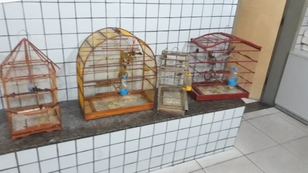 Foto_17072020_100735