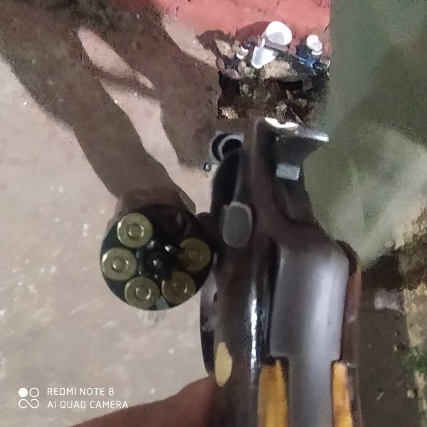 apreensão de armas 29