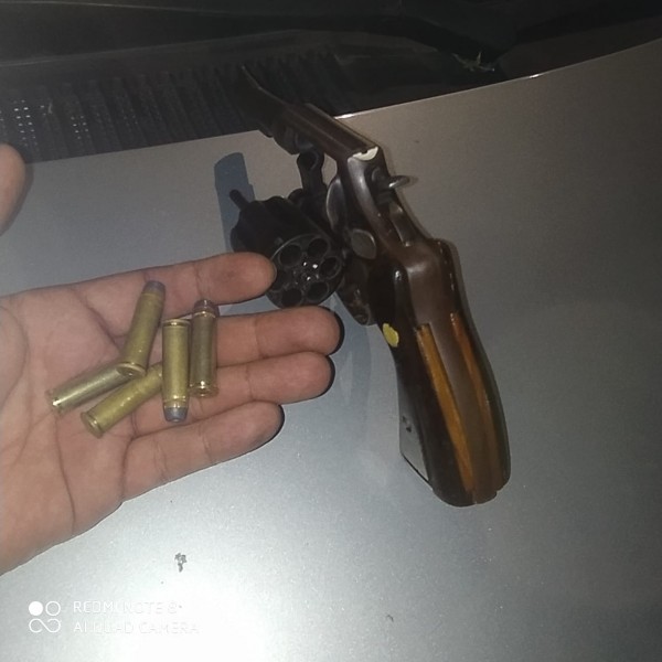 apreenso de armas 29