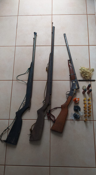ARMAS APREENDIDAS 07.03