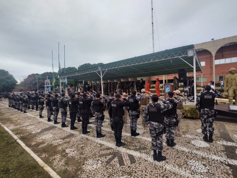 formatura 