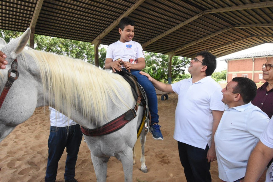 equoterapia