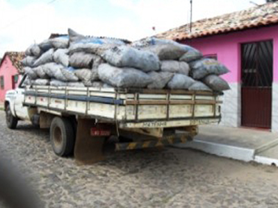 Apreenso BPA - carvo