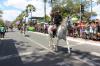 20150907_Desfile_7_Set
