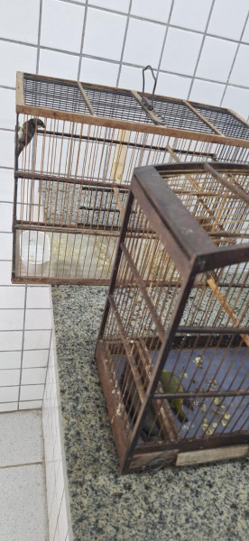 Foto_15092025_100909