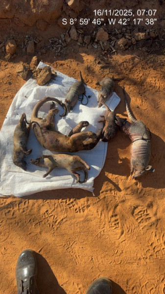 Foto_24112025_081127