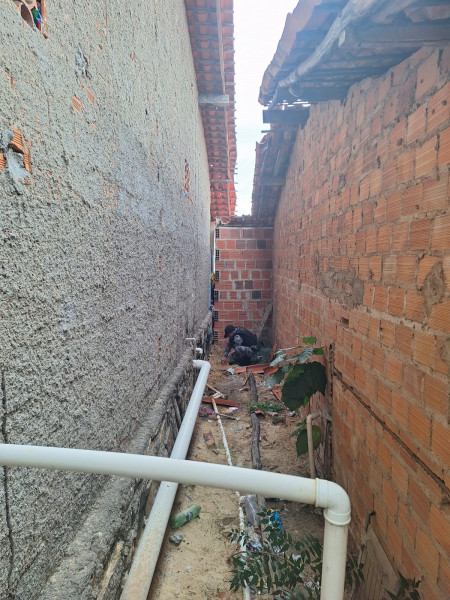 Foto_13022026_080241